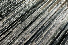 Designtex Moquette: Berlin | Amazing Cut Velvet Upholstery Fabric