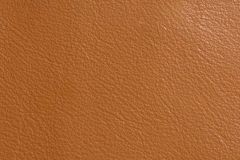 Edelman Leather for Maharam Royal Hide: Golden Eagle | Italian Upholstery Leather