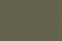 Edelman for Maharam Leather Helm: Cypress by Ilse Crawford | Italian Upholstery Leather