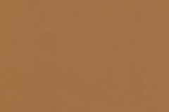 Garrett Leather Caressa: Fawn | Italian Full Grain Upholstery Leather