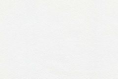 Garrett Leather Caressa: Porcelain | Italian Full Grain Upholstery Leather