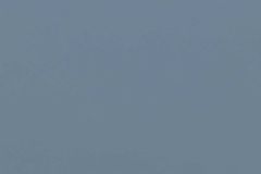 Maharam Leather Pace: Juniper | Italian Upholstery Leather