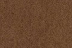 Pollack Cowgirl: Whiskey | High Performance Ultrasuede Faux Leather