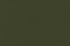 Ultrafabrics Tottori: Lichen | Polyurethane Upholstery Vinyl