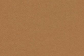 Maharam Leather Stow: Clandestine