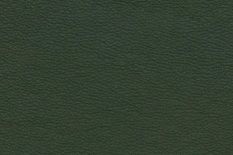 Maharam Leather Stow: Holiday | Green Italian Upholstery Leather