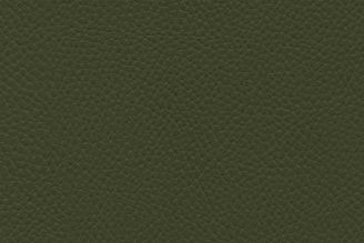 Ultrafabrics Tottori: Lichen | Polyurethane Upholstery Vinyl