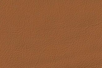 Wipelli USA Tango: 2675 Saddle from Modern fabrics