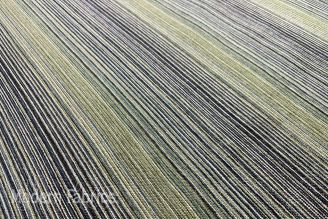 HBF Textiles Landscape Blur